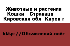 Животные и растения Кошки - Страница 3 . Кировская обл.,Киров г.